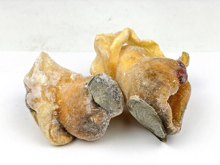 大西洋急冻螺头(XXL) 30LB 1395-2100