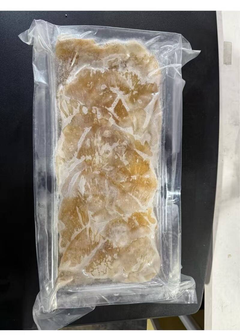 elephant fish fin大象鱼翅 5LB/bag 5500-7500