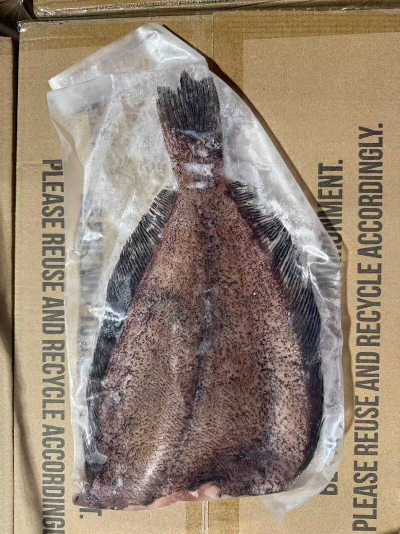 Pacific Flounder 左口鱼 14-16oz 1 x 10LB 100-200