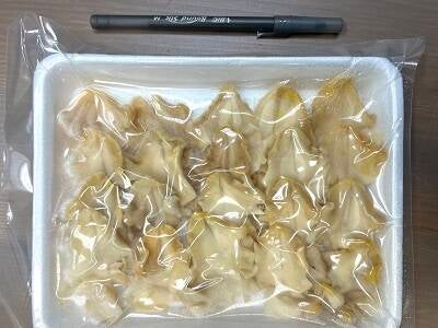  Whelk Meat Slice 螺肉片 8g x 20plices 0800-1050