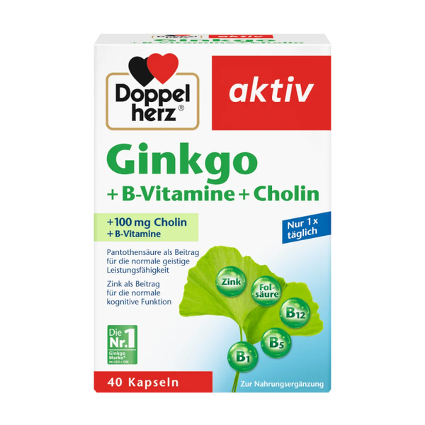 DOPPELHERZ GINKGO+B-VIT. 40 KPS