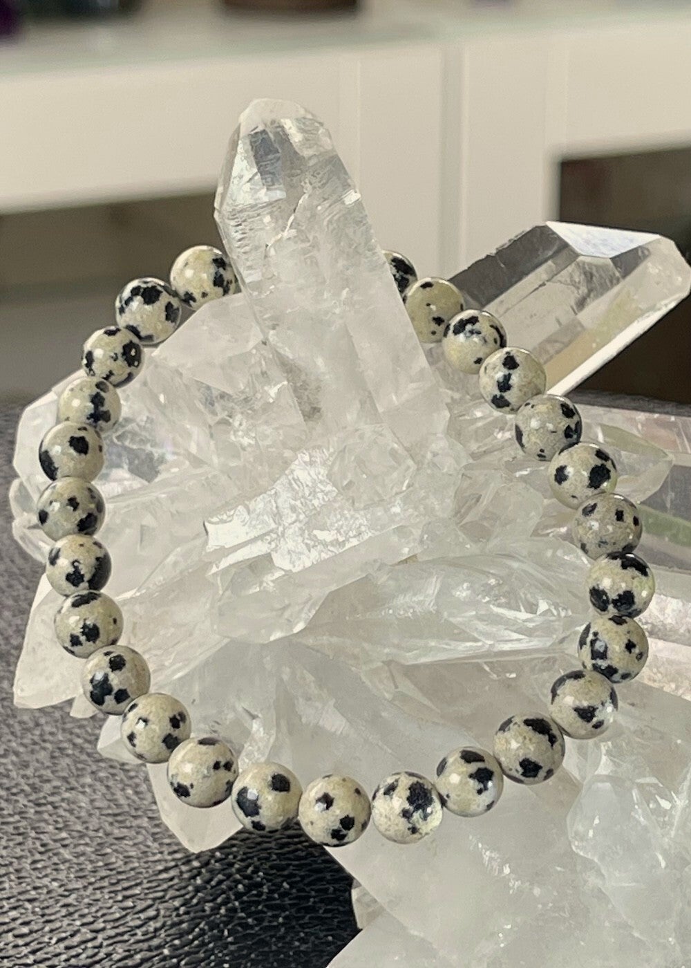 Dalmatiër Jaspis armband met ronde kralen en elastiek 6,8mm
