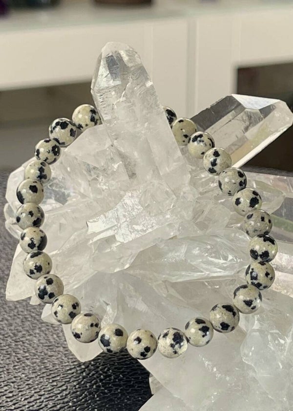 Dalmatiër Jaspis armband met ronde kralen en elastiek 6,8mm