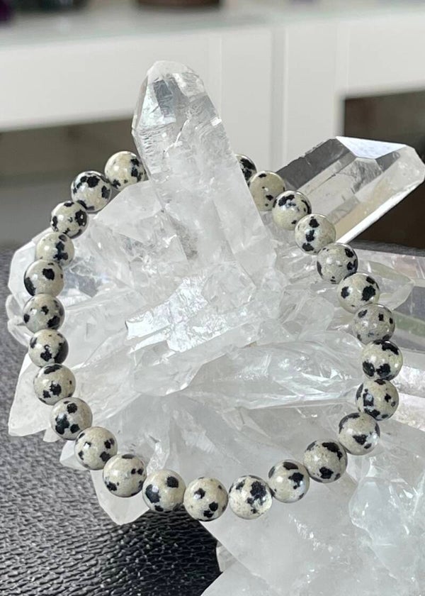 Dalmatiër Jaspis armband met ronde kralen en elastiek 6,8mm