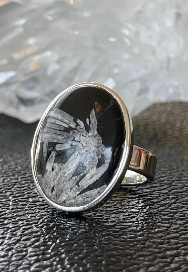 Septarie ring cabochon ovaal vorm, maat 18