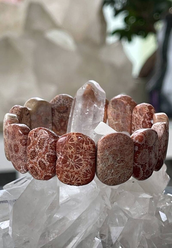 Koraal armband met platte grote kralen en elastiek 2cm