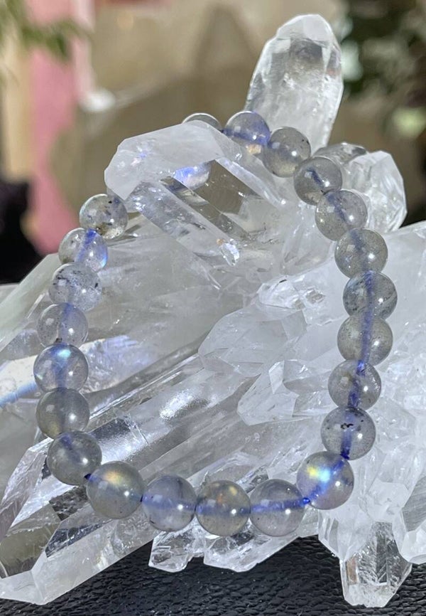 Labradoriet armband met ronde kralen en elastiek 7,5m