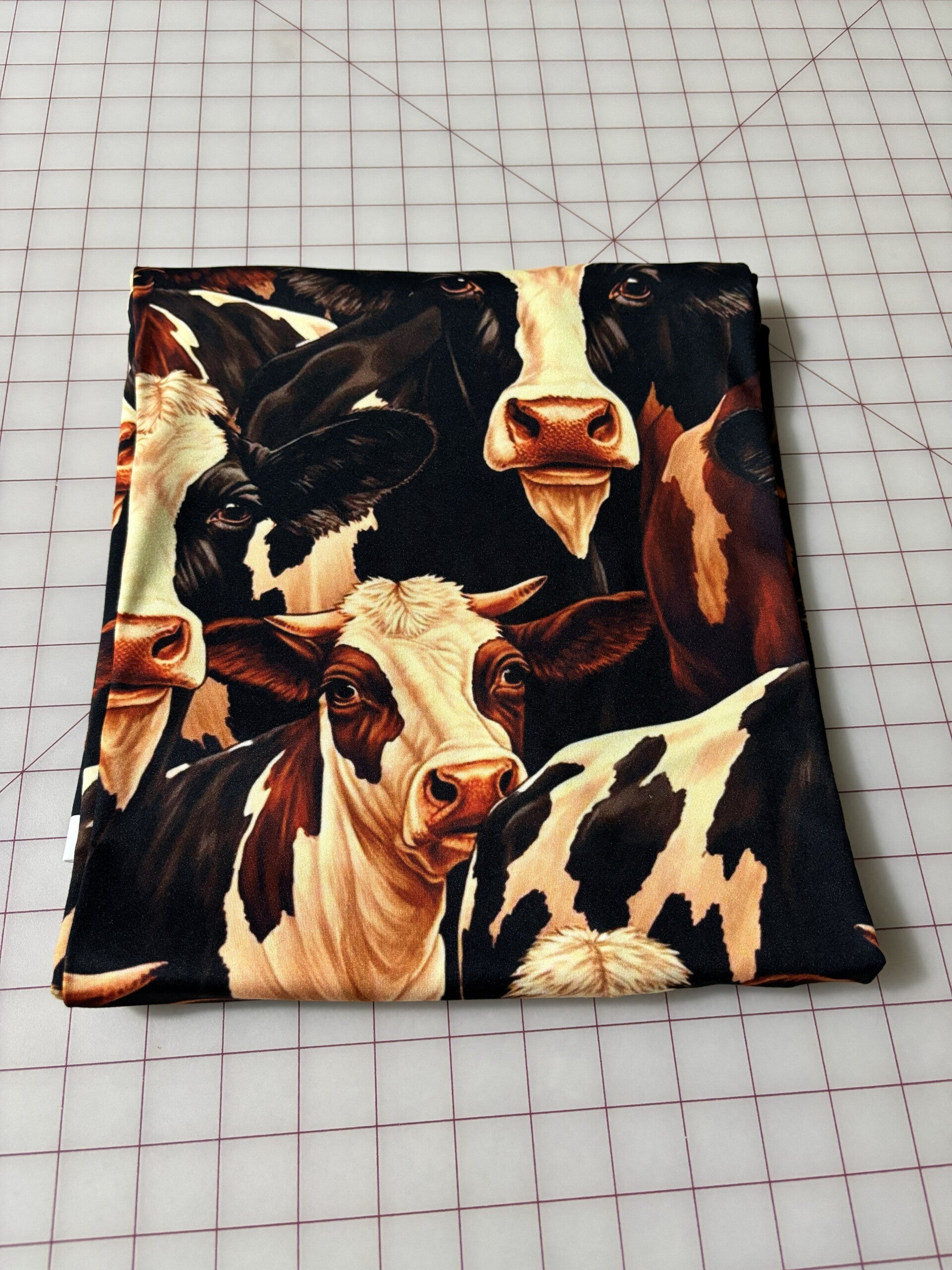 Realistic Cows Western Country