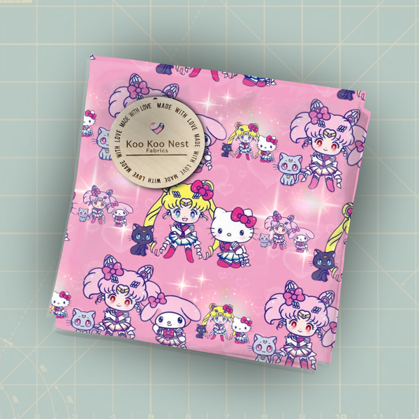 Sailor Moon Pink girl anime