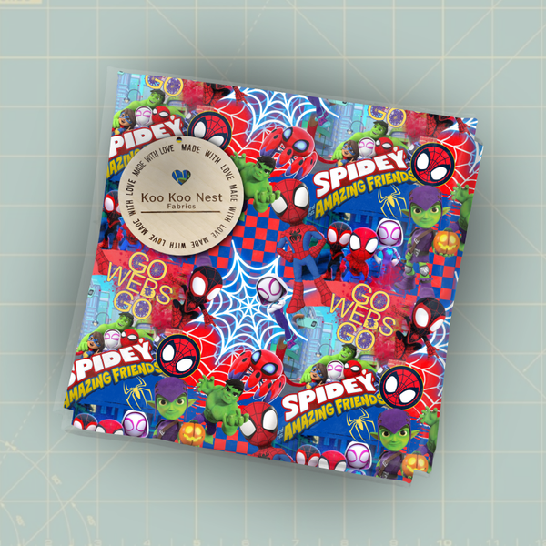 Spidey and Friends Go boy girl