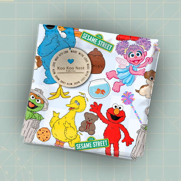 Sesame Street Girl Boy