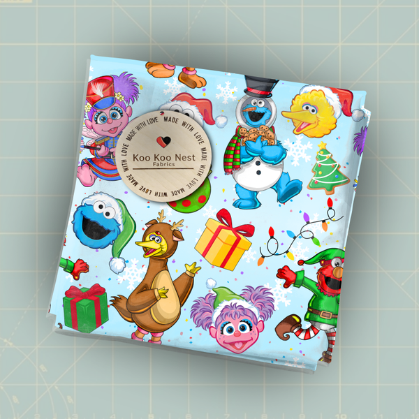 Sesame Street Christmas Boy Girl