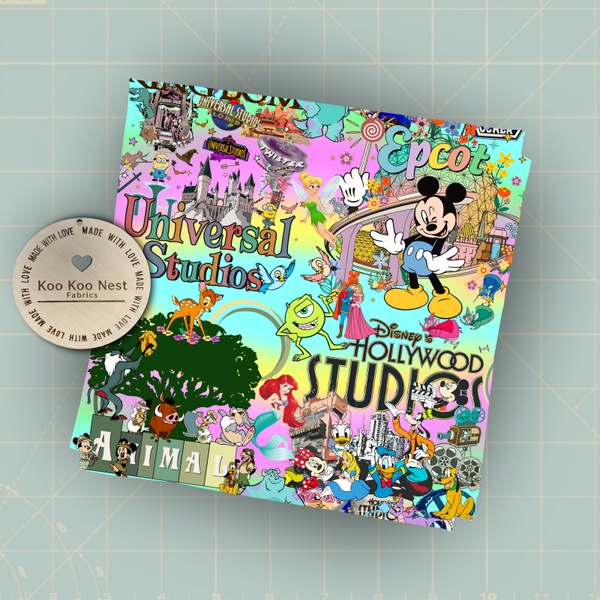Disney Universal Florida California Fun Trip