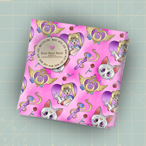 Sailor Moon Anime girl