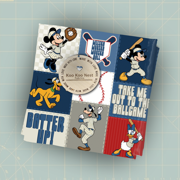 Mickey Baseball Boy