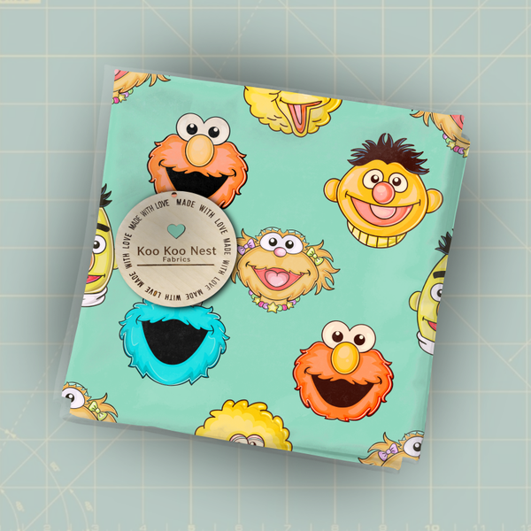 Sesame Street Faces boy girl