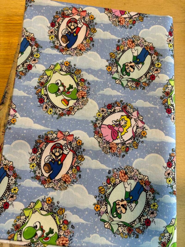 Mario Princess Frames Girl