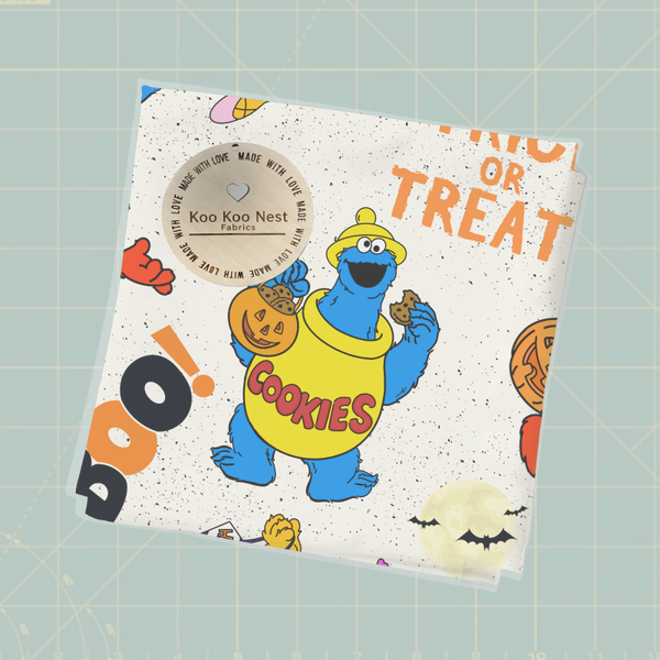 Sesame Street Halloween boy girl