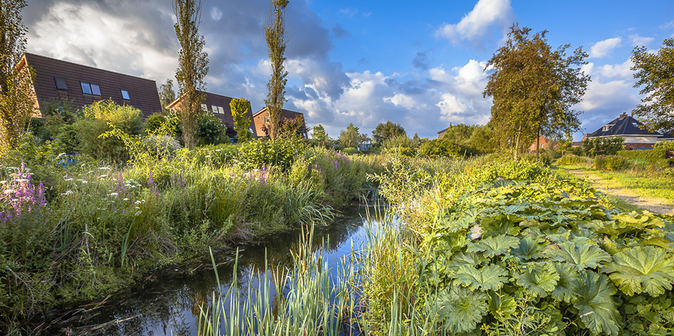 biodiversiteit Waardenvol