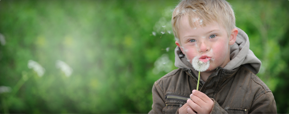 hagenvlechten Waarden