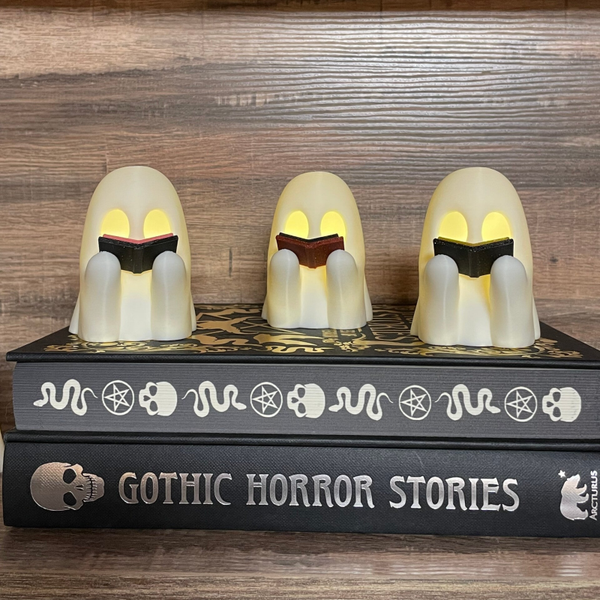 Ghost With Book
