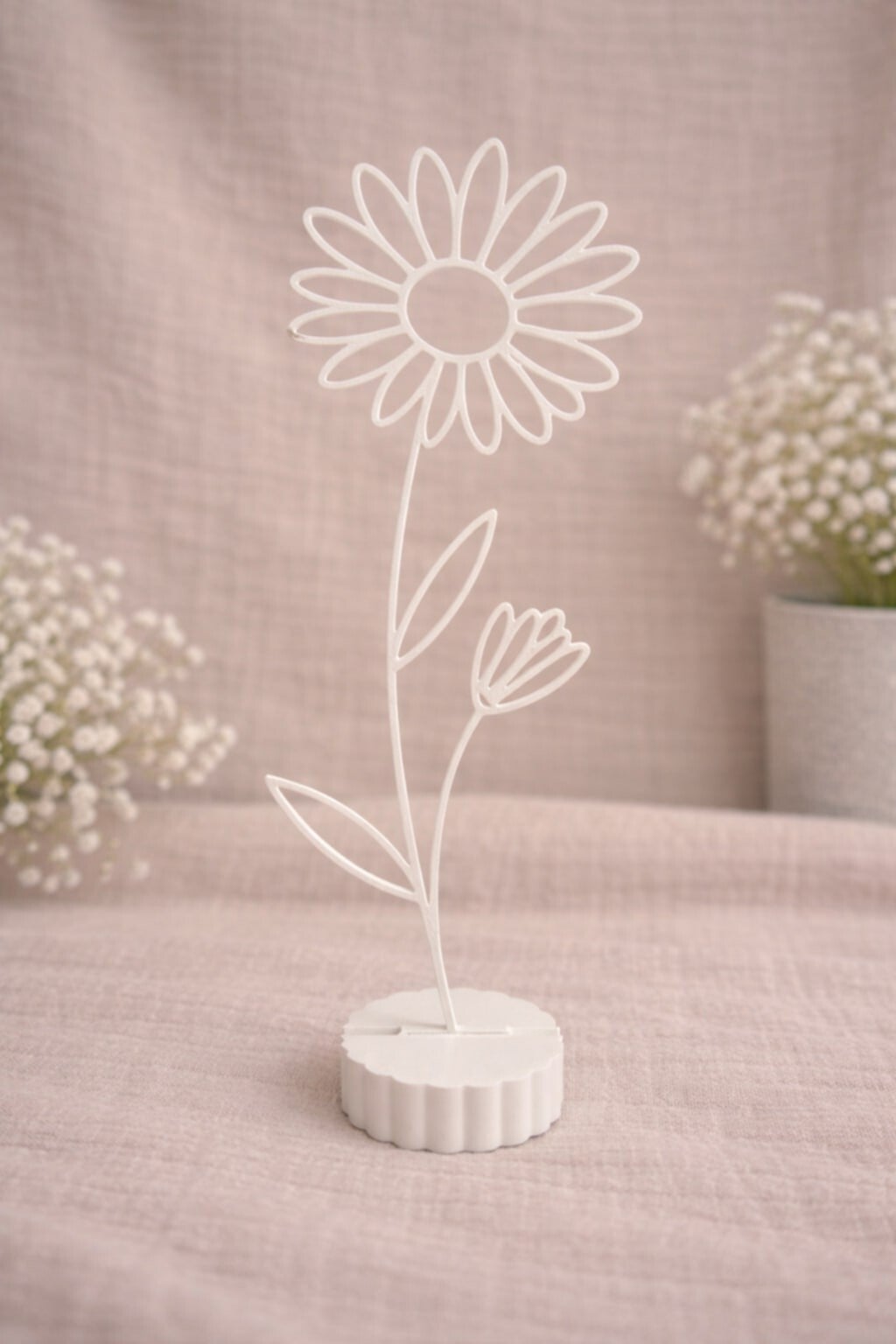 Aster – Geboortebloem van september