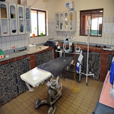 CheetahConservationFundOtjiwarongo1.jpg