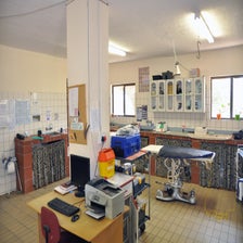 CheetahConservationFundOtjiwarongo3.jpg