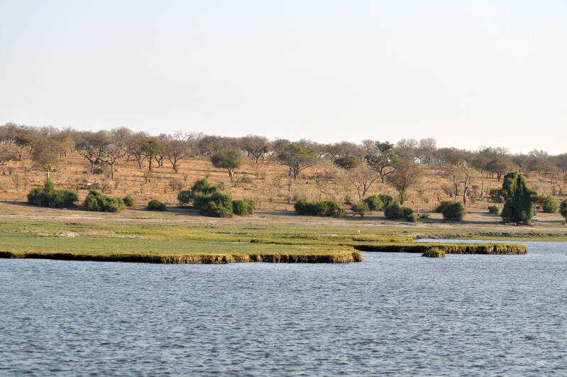 Chobe river.