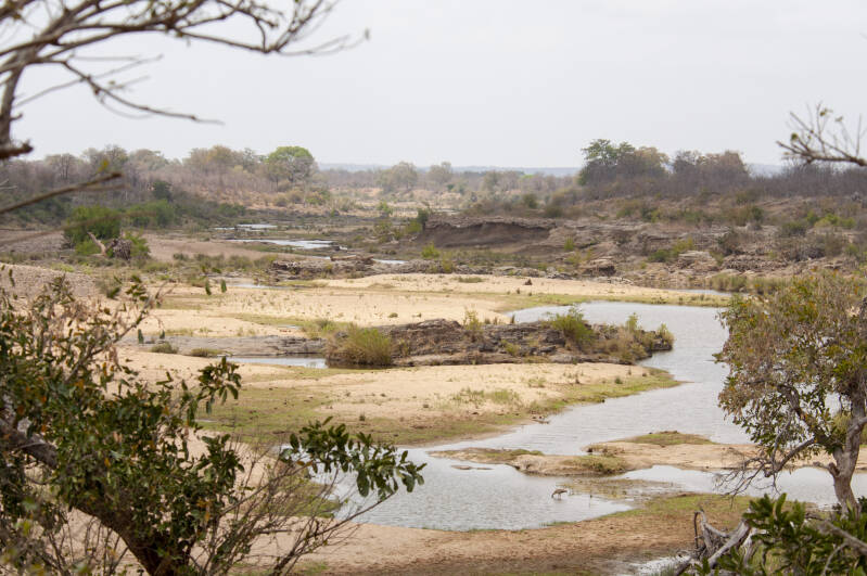 Krugerpark