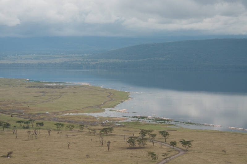 Lake Nakuru