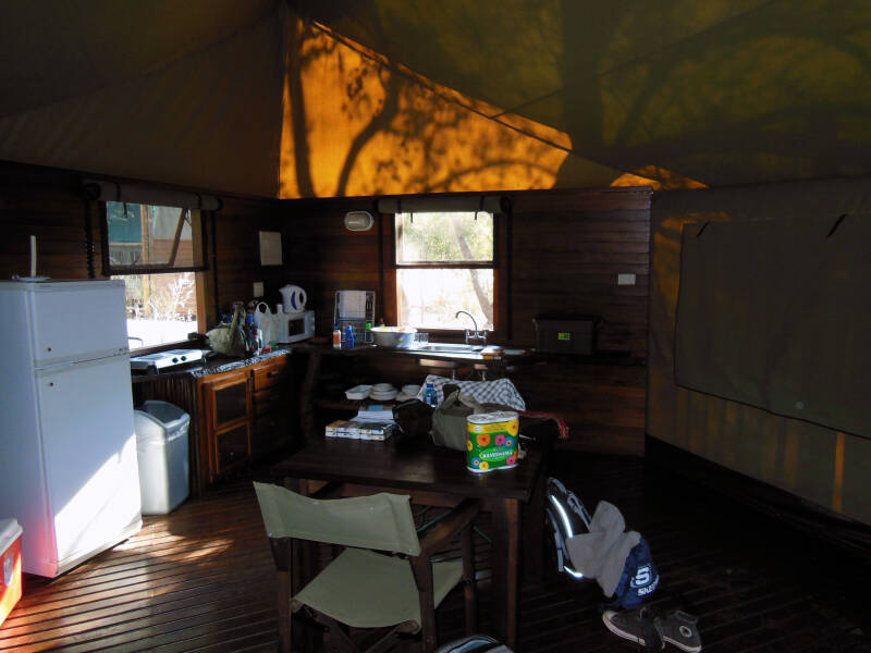  Limpopo forest camp