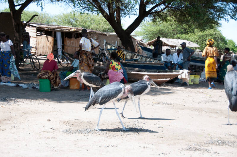 Marabu vissers dorp Malinda