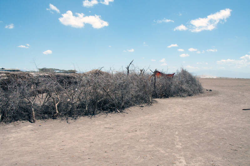 Massai kraal.