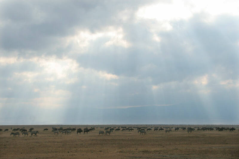 Ngorogoro crater
