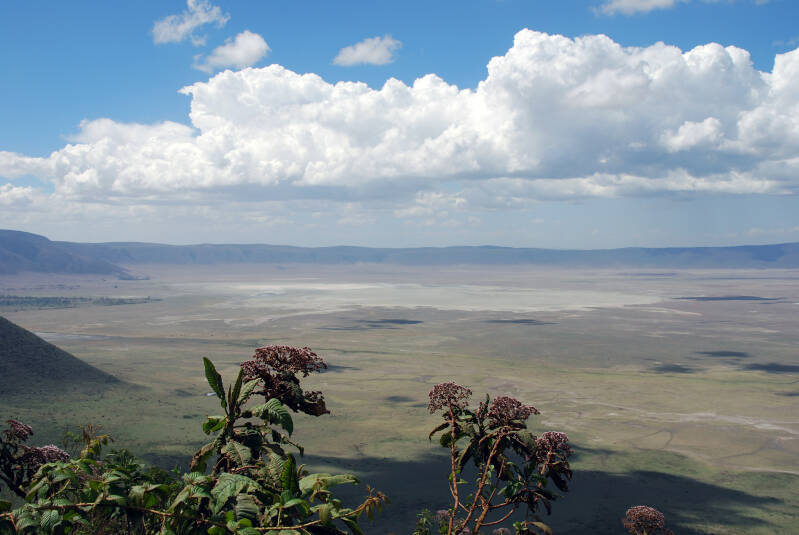 Ngorogoro crater