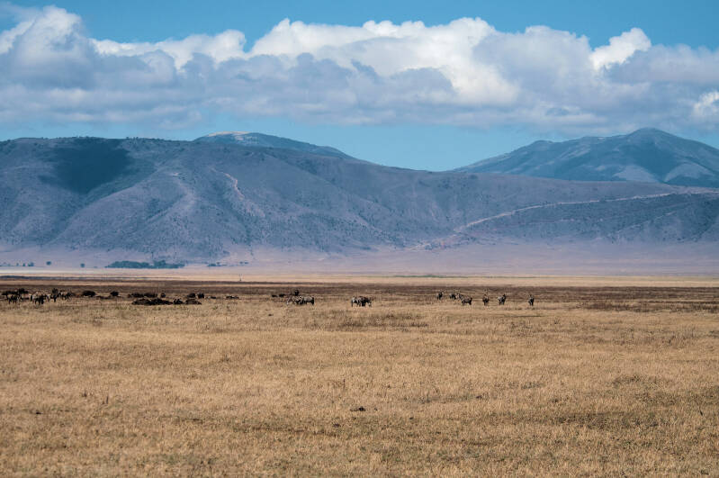 Ngorogoro crater
