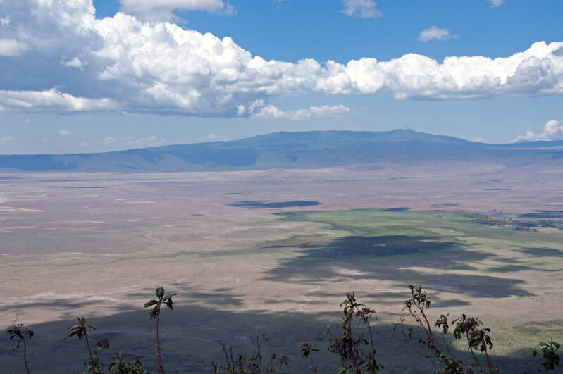 Ngorogoro crater