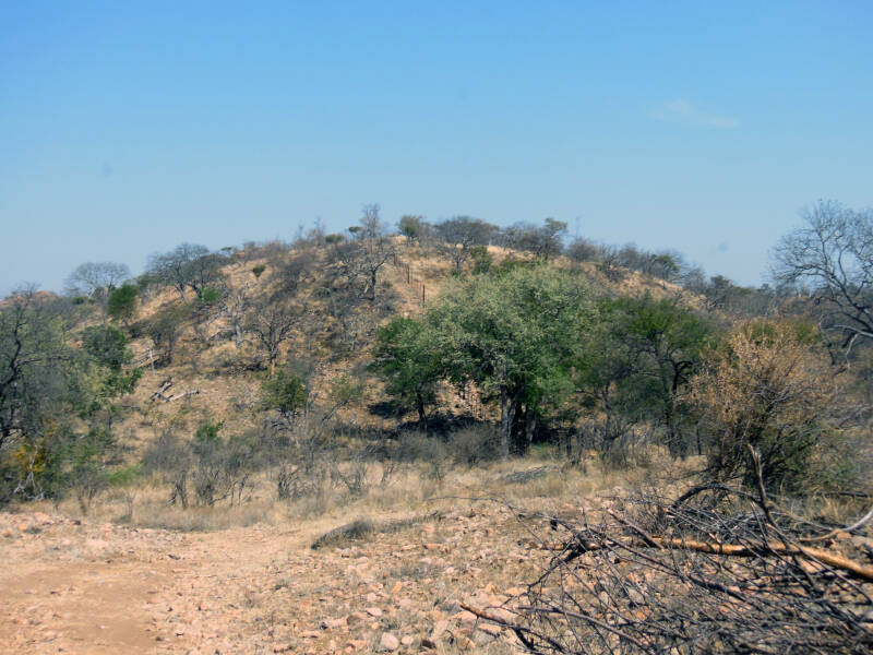 MAPUNGUBWE’S KANNIEDOOD TRAIL