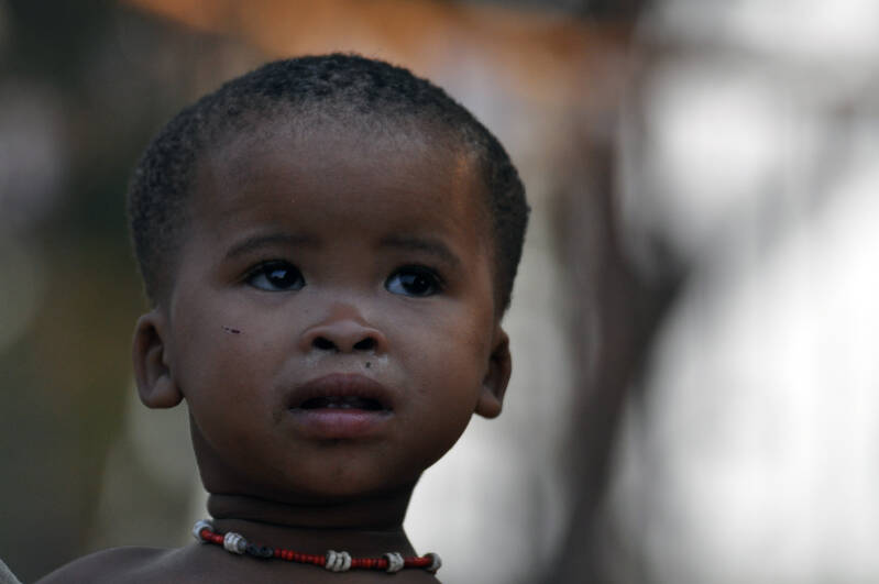 San Bushmen Namibie