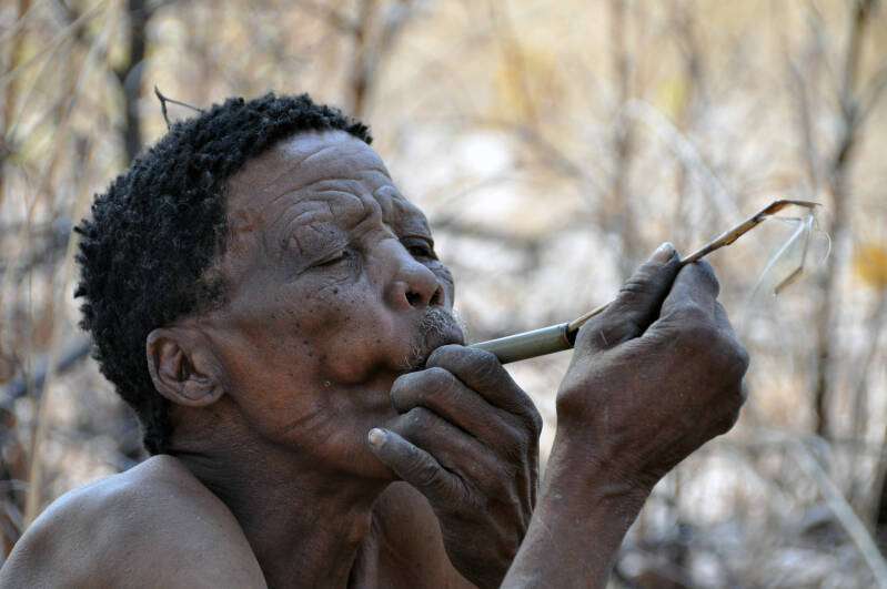 San Bushmen Namibie