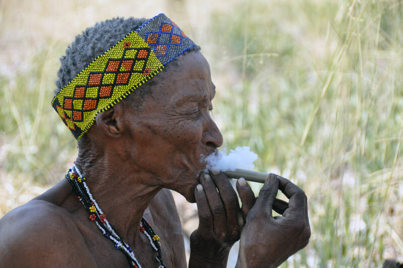 San Bushmen Namibie
