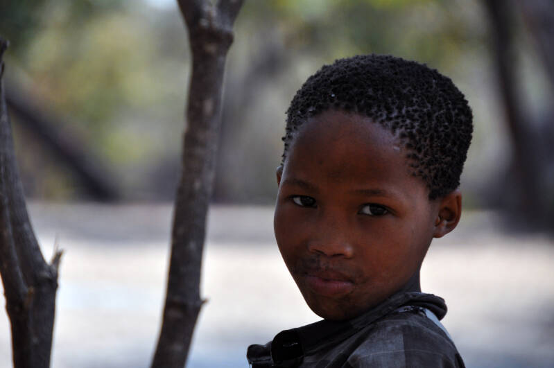 San Bushmen Namibie