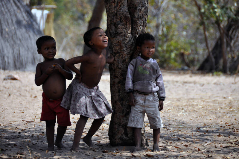 San Bushmen Namibie