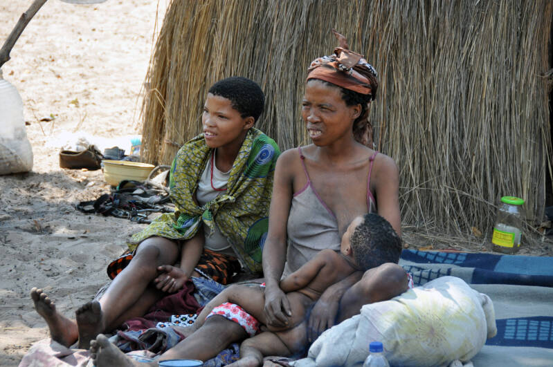 San Bushmen Namibie