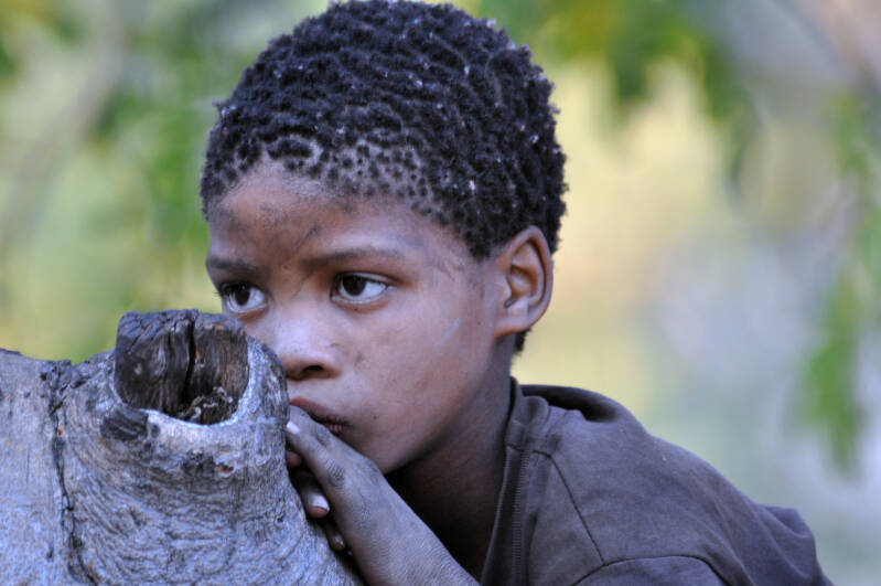 San Bushmen Namibie