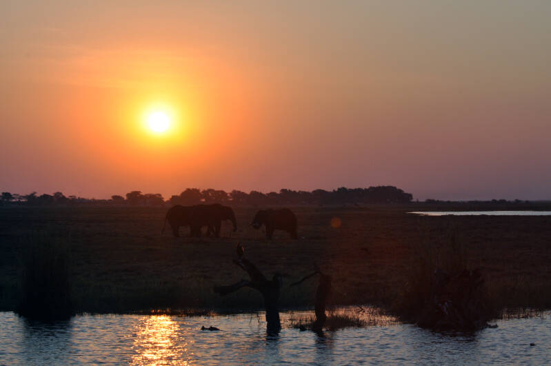 Sunset chobe river.