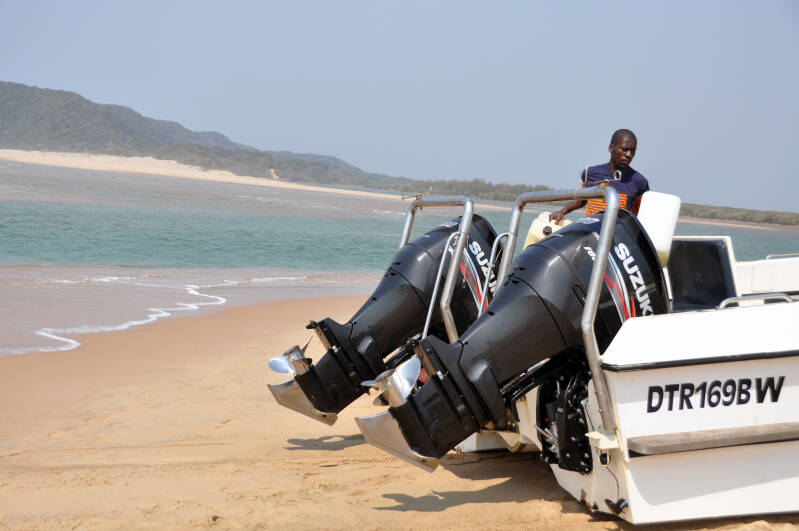 Whale Watching StLucia