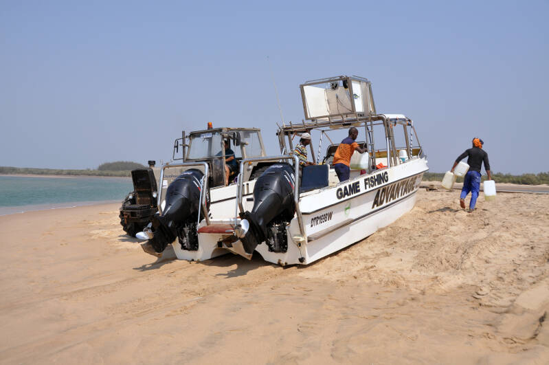 Whale Watching StLucia