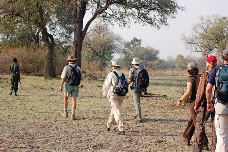 walking safari